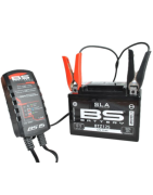 Battery & Charger