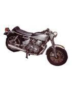 Cafe Racer Special