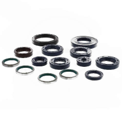 ENGINE SEAL KIT DUCATI MONSTER